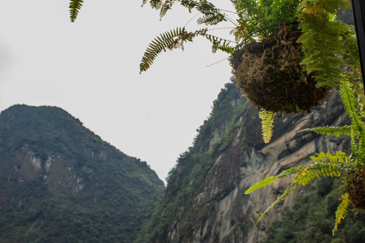 Runas Inn Machupicchu Exterior foto