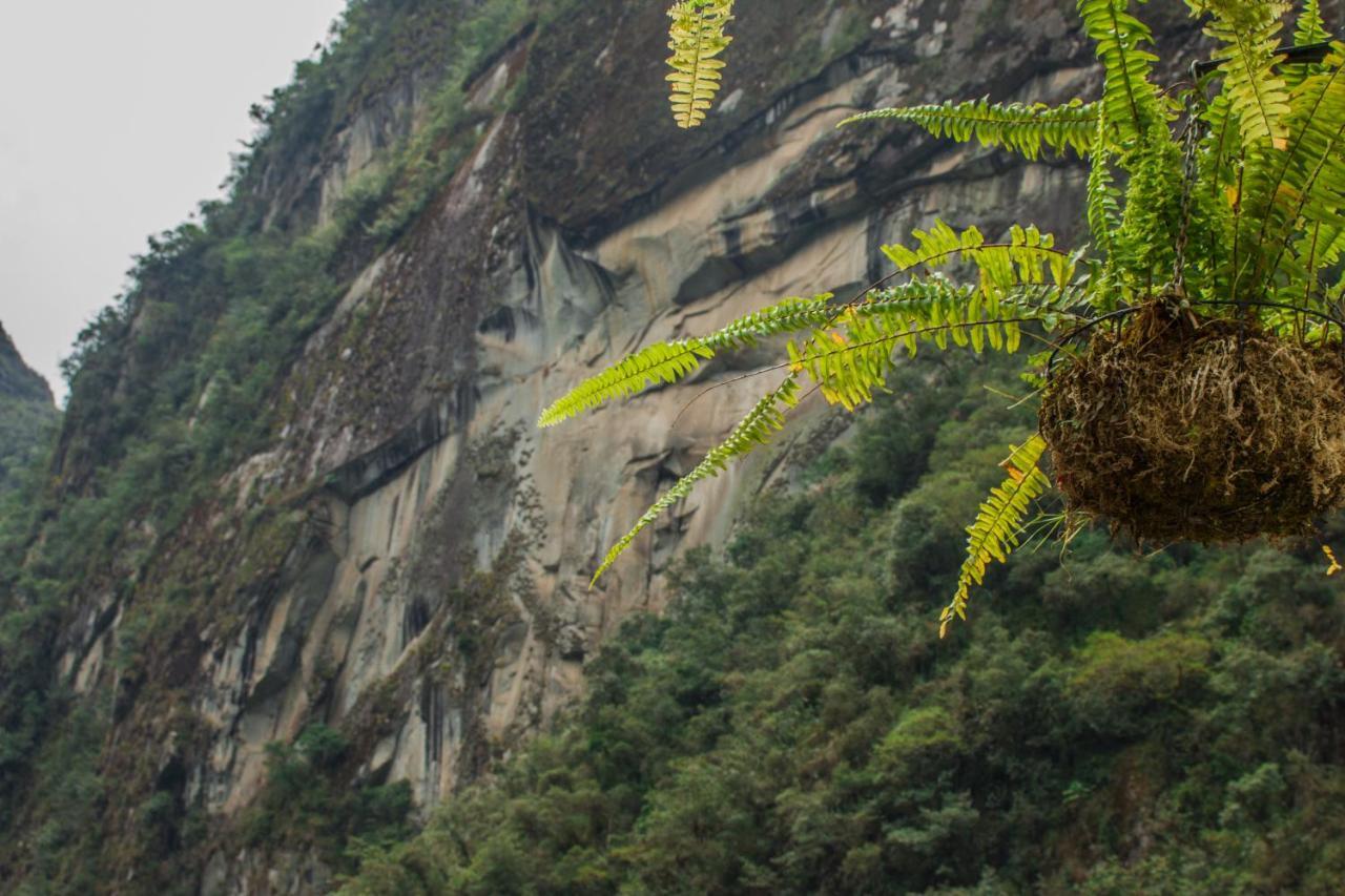 Runas Inn Machupicchu Exterior foto